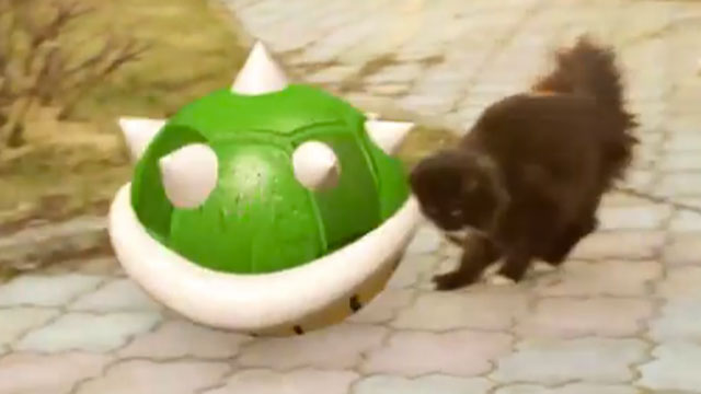 Super Mario Cat [VIDEO]