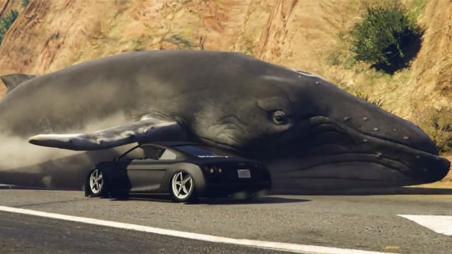 Whales in GTA 5!
